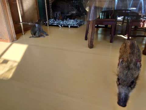 DSC_1657_copy_800x600