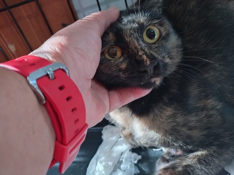 20250922_081546_copy_800x600