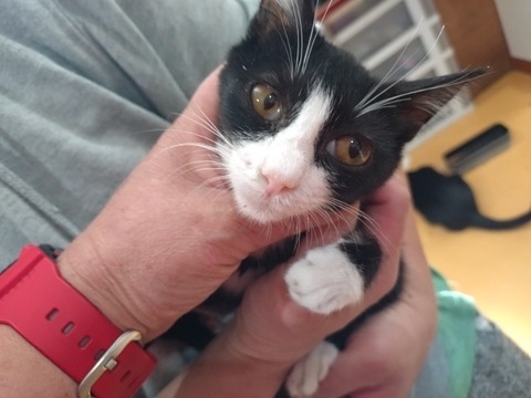 20260129_111428_copy_800x600