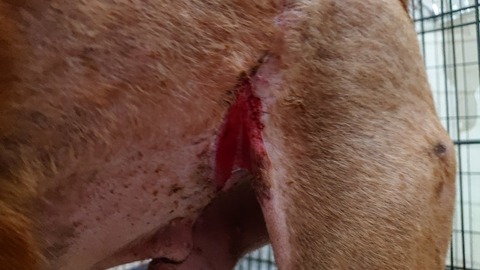 DSC_0922_copy_800x450_copy_800x450