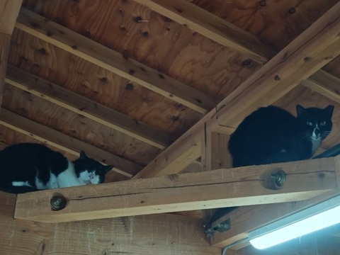 20251011_121911_copy_816x612