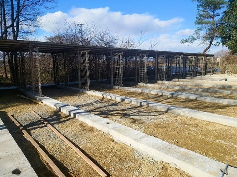 20240302_145653~2_copy_800x600