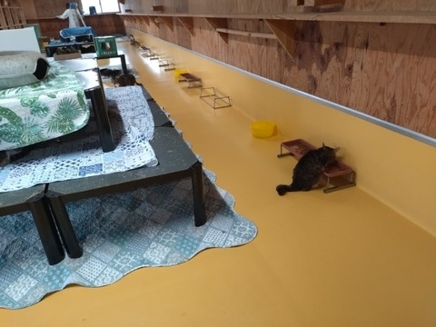 20251011_120629_copy_800x600