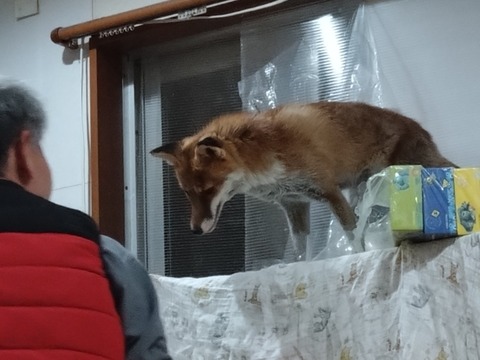 20251214_214503_copy_816x612