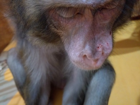 20260223_090425_copy_800x600