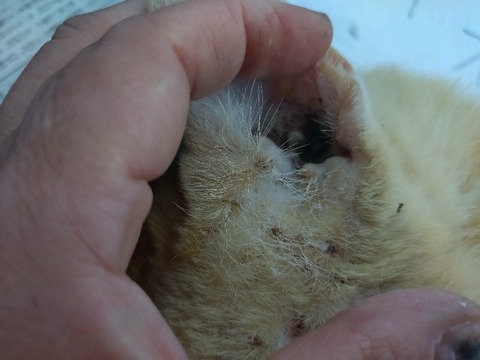 20240521_102136_copy_800x600