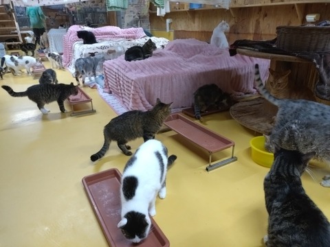 20251230_164833_copy_800x600