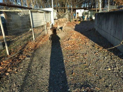 20260108_080650_copy_800x600