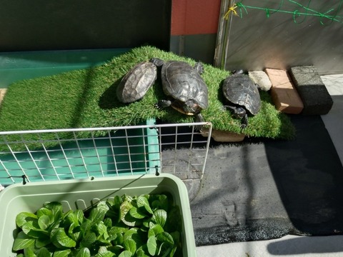 20260226_124154_copy_800x600