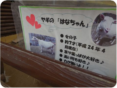 DSCN4642