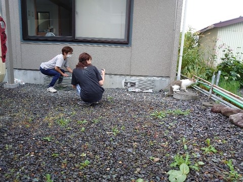 DSC_0338_copy_800x600