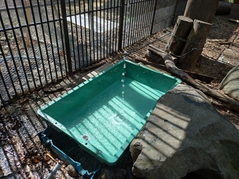 20250421_142559_copy_800x600