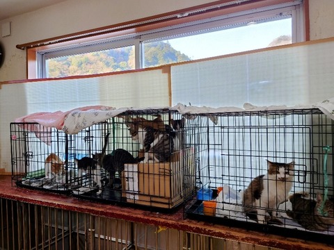 20230301_083235~2_copy_800x600