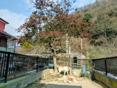 20250121_112949~2_copy_800x600