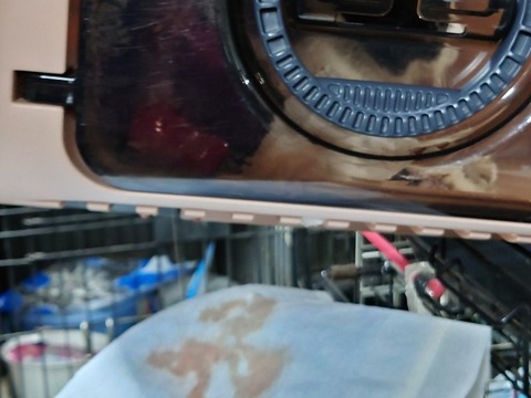 20230217_195411_copy_800x600