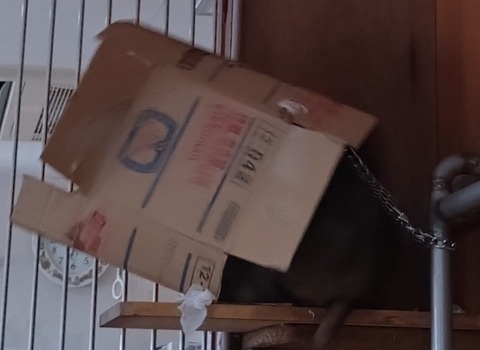 20260128_104259_copy_800x584