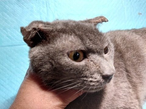 DSC_0221_copy_800x600