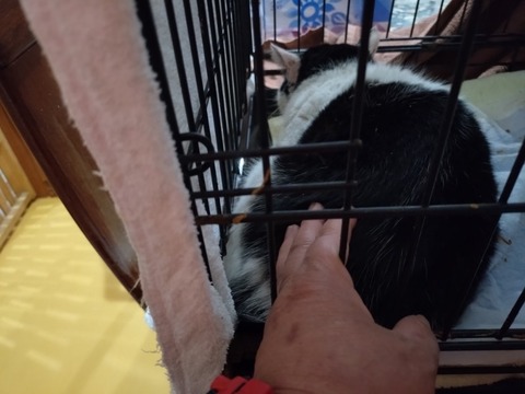 20260130_080903_copy_800x600