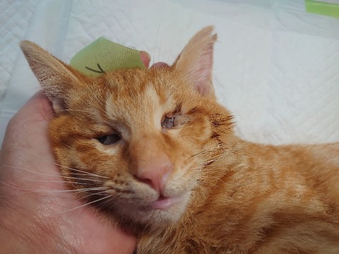 DSC_0610_copy_800x600