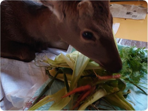 DSC_1383_copy_3226x2420