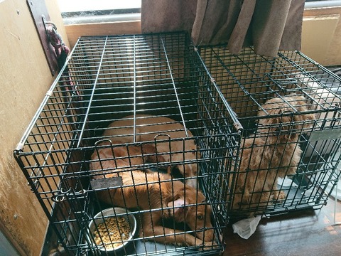 DSC_7097_copy_800x600