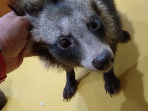 20251214_214647_copy_800x600