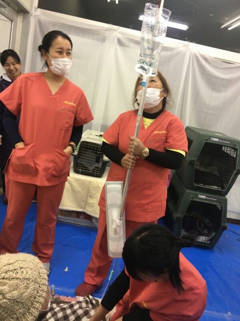 1516945239740-600x800