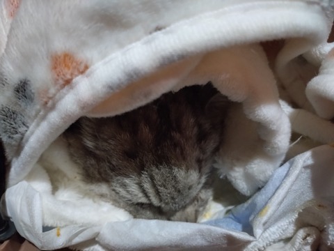 20260126_195747_copy_800x600