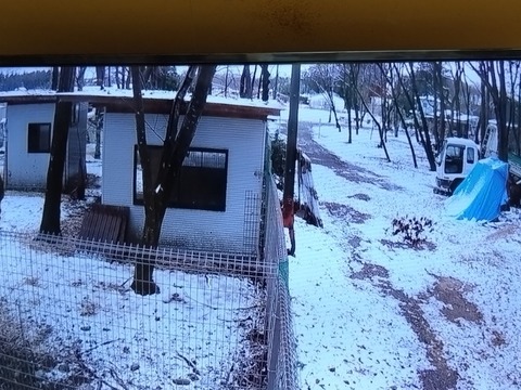 20260304_065738_copy_800x600