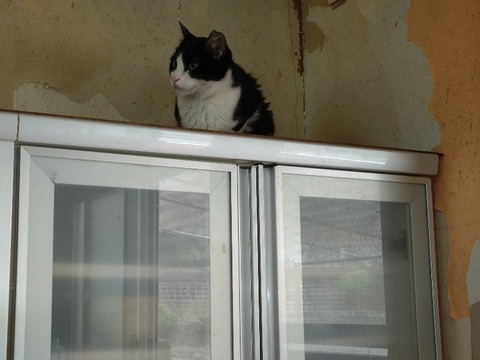 20240418_112242_copy_800x600