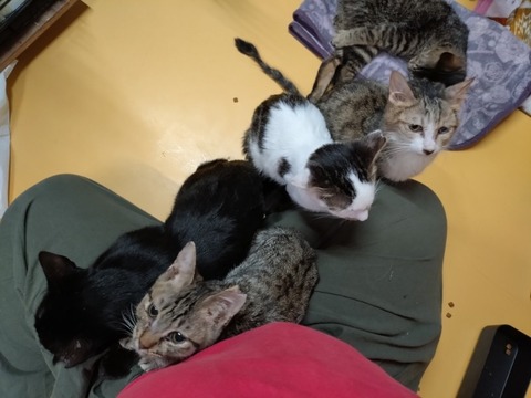 20260304_080857_copy_800x600