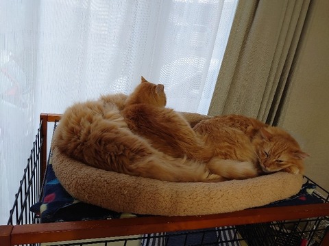 DSC_5647_copy_800x600