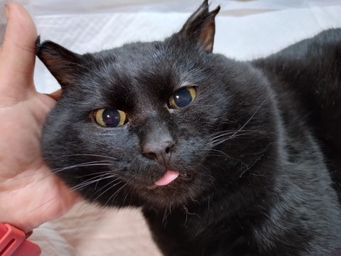 20251217_195343_copy_800x600