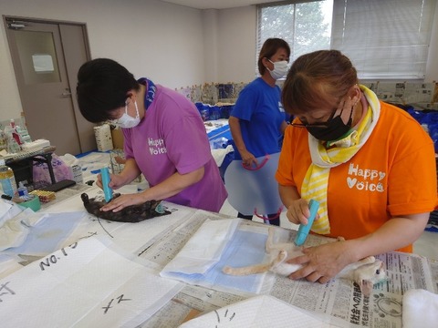 20220725_093316_copy_800x600