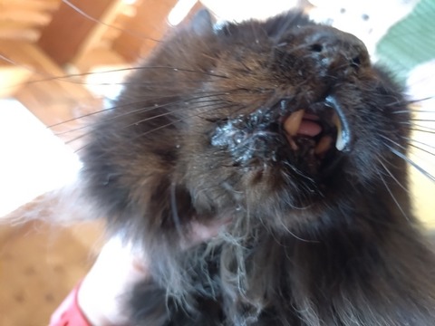 20251223_082404_copy_800x600