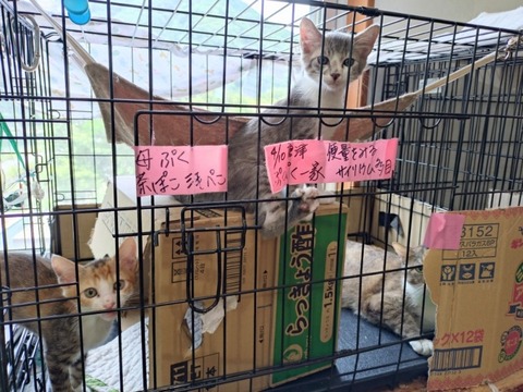 20250620_123023_copy_800x600