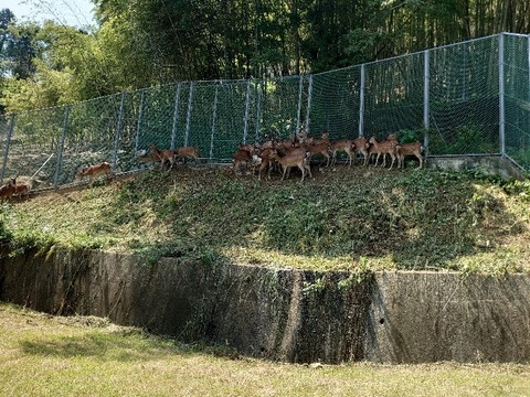 DSC_6152_copy_800x600