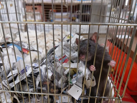 20231226_071749_copy_800x600