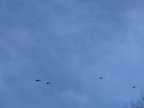 NPO犬猫みなしご救援隊・代表ブログ・みなしご庵へようこそ