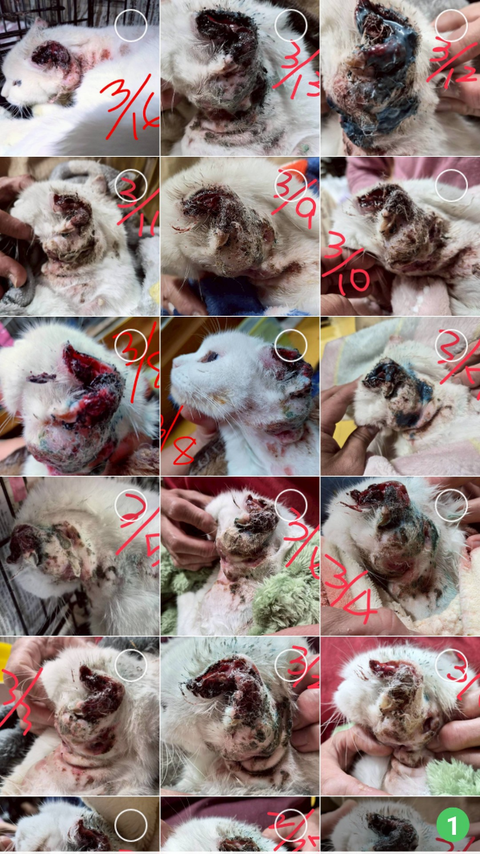 Screenshot_20260316-173054_copy_600x1068