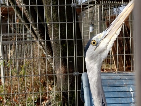 20251225_101038_copy_816x612