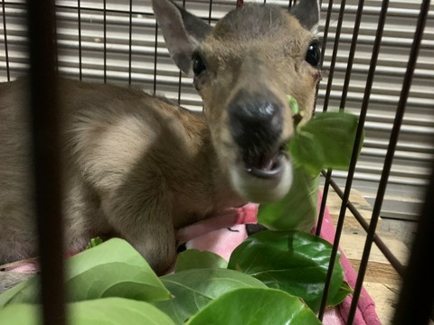 1590992973408_copy_800x600