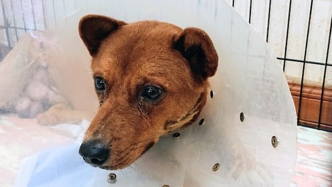 DSC_0870_copy_800x450~2_copy_800x450