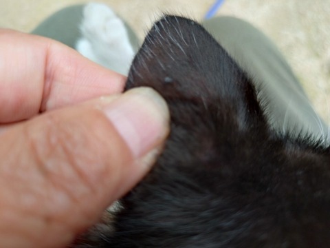 20260908_124010_copy_800x600