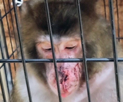 20260217_201839~2_copy_800x662