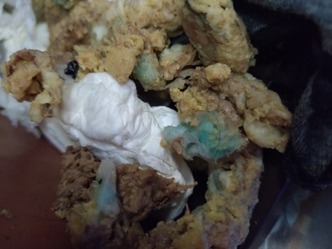 20251029_114912_copy_800x600