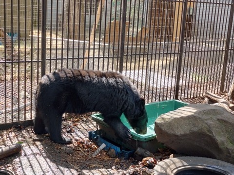 20250421_142803_copy_816x612