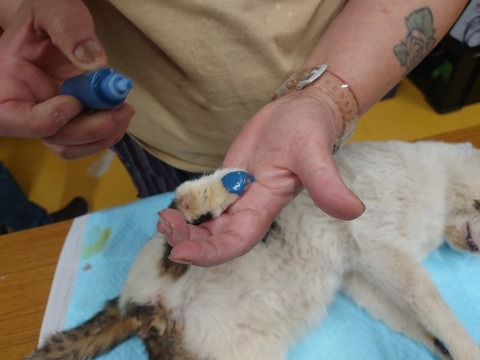 20240312_095958_copy_800x600