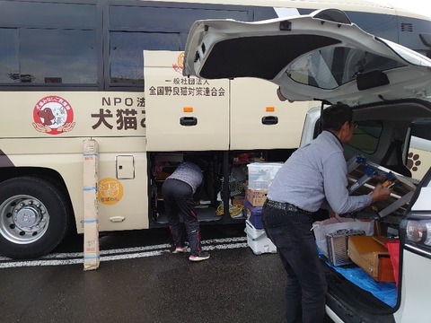 DSC_1877_copy_800x600