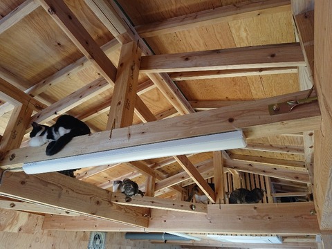 DSC_5807_copy_800x600